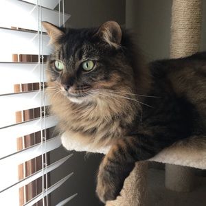 Meet your Posher, Ruby